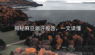 揭秘麻豆测评报告，一文读懂