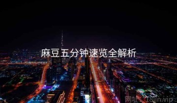 麻豆五分钟速览全解析