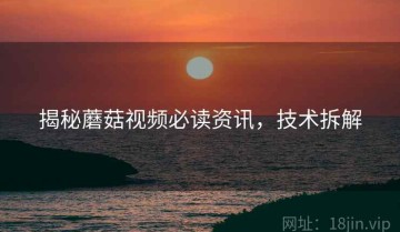 揭秘蘑菇视频必读资讯，技术拆解