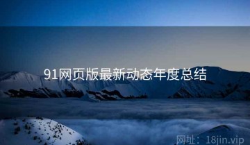 91网页版最新动态年度总结