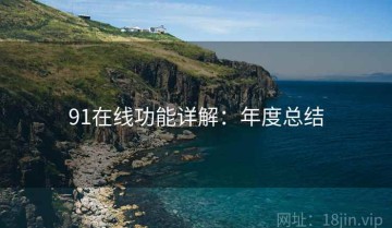 91在线功能详解：年度总结