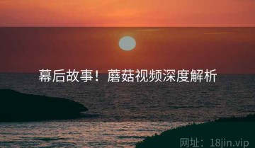 幕后故事！蘑菇视频深度解析