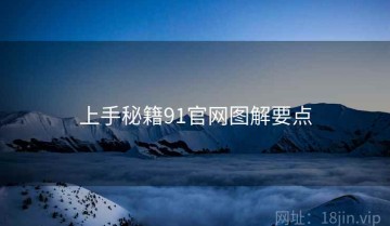 上手秘籍91官网图解要点