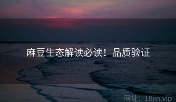麻豆生态解读必读！品质验证