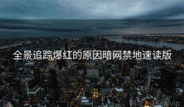 全景追踪爆红的原因暗网禁地速读版