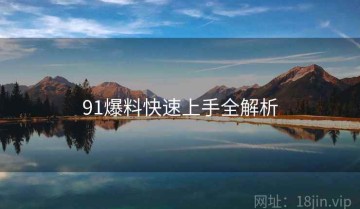 91爆料快速上手全解析