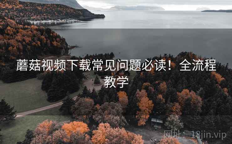 蘑菇视频下载常见问题必读！全流程教学