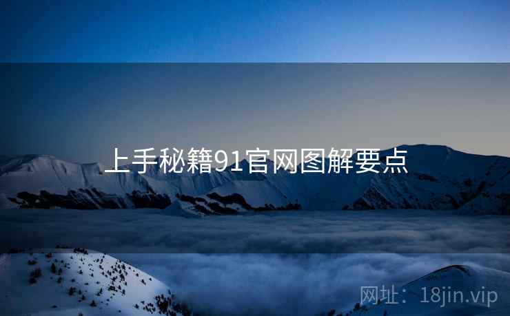 上手秘籍91官网图解要点