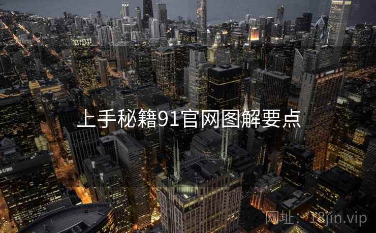 上手秘籍91官网图解要点