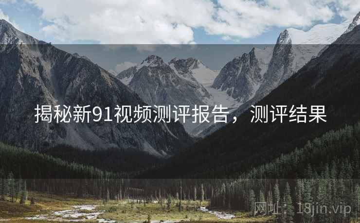 揭秘新91视频测评报告，测评结果