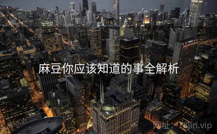 麻豆你应该知道的事全解析
