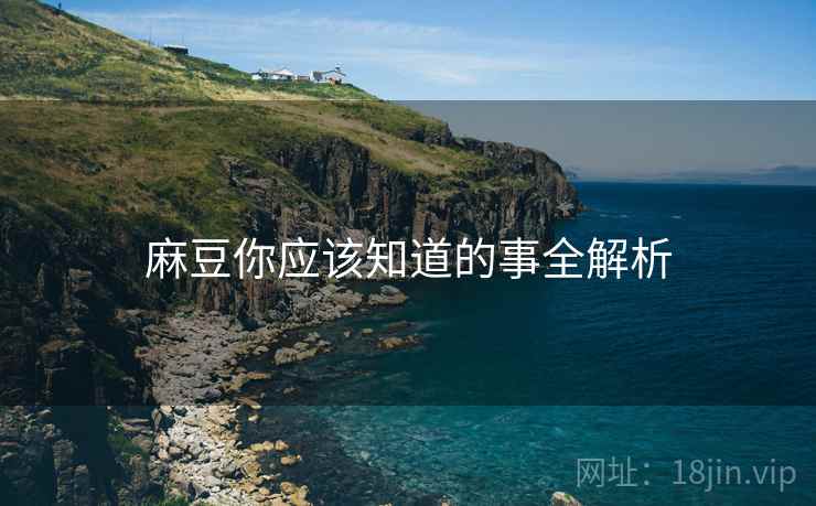 麻豆你应该知道的事全解析
