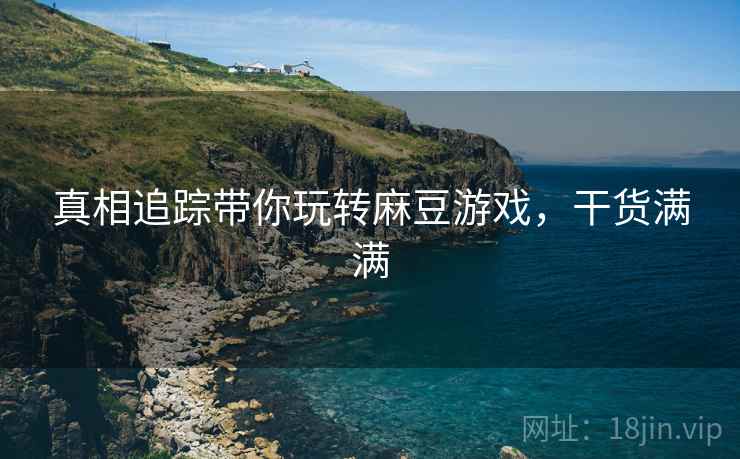 真相追踪带你玩转麻豆游戏，干货满满