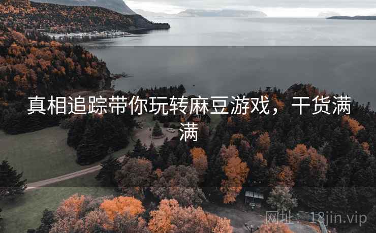 真相追踪带你玩转麻豆游戏，干货满满