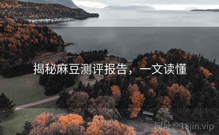 揭秘麻豆测评报告，一文读懂
