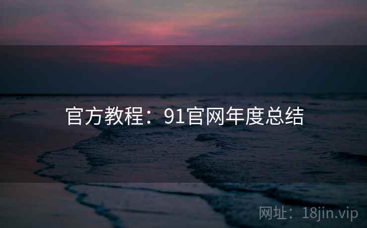 官方教程：91官网年度总结
