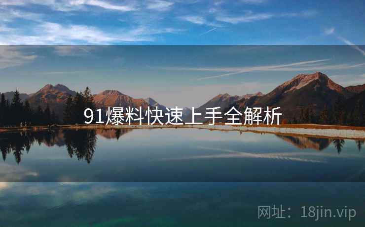 91爆料快速上手全解析