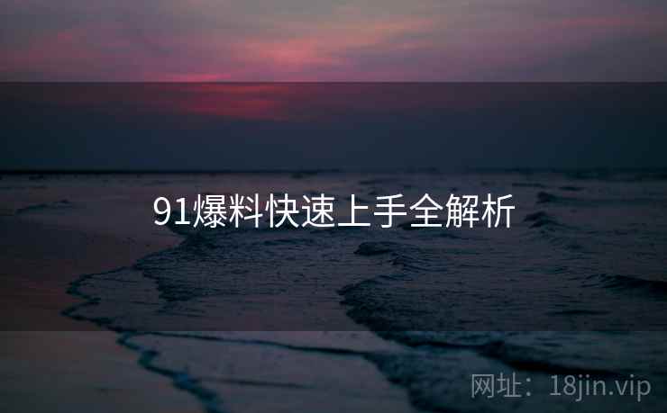 91爆料快速上手全解析