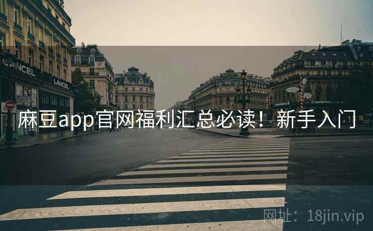 麻豆app官网福利汇总必读！新手入门