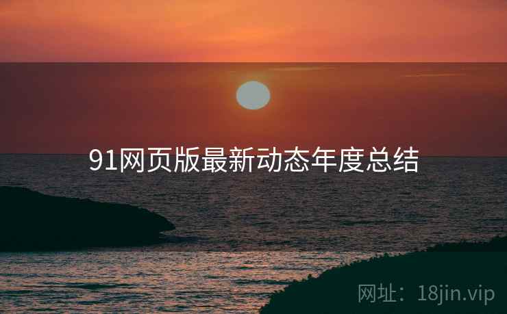 91网页版最新动态年度总结