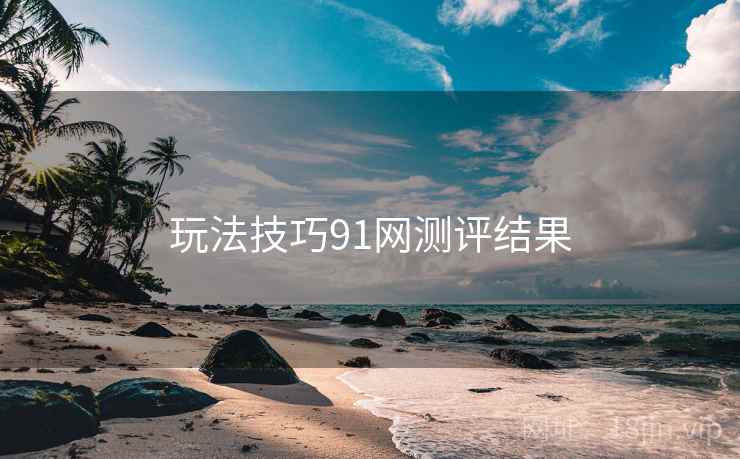 玩法技巧91网测评结果 玩法技巧91网测评结果