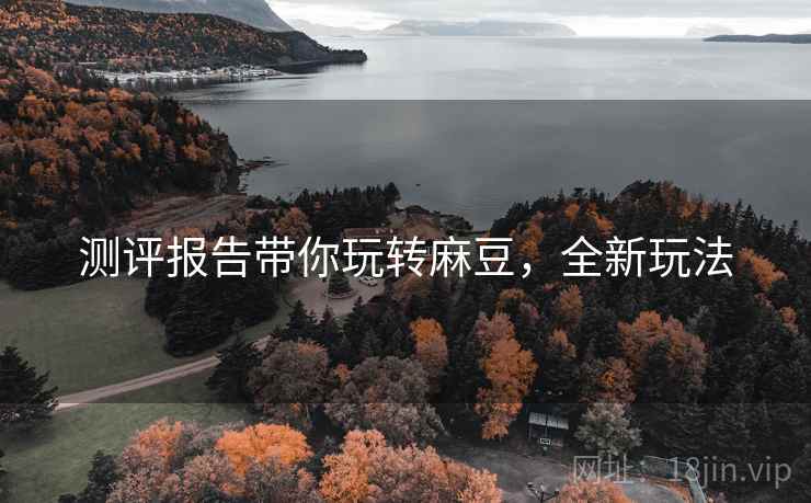 测评报告带你玩转麻豆，全新玩法