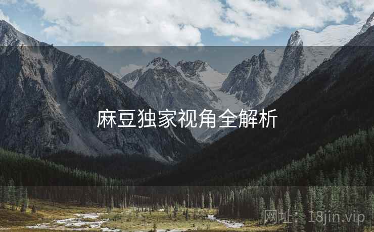 麻豆独家视角全解析