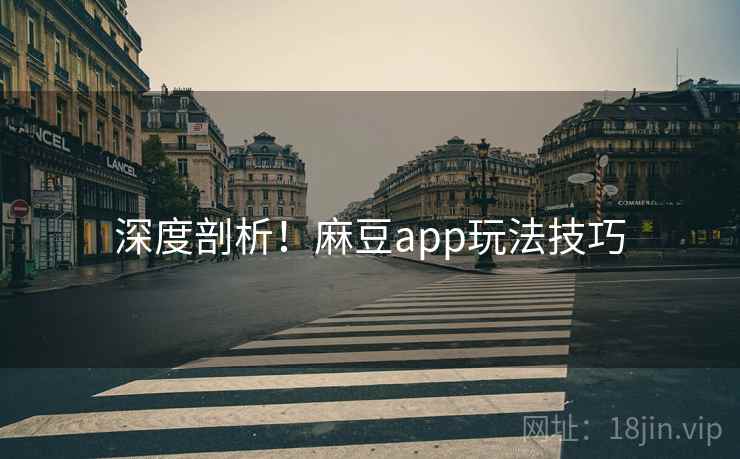 深度剖析！麻豆app玩法技巧