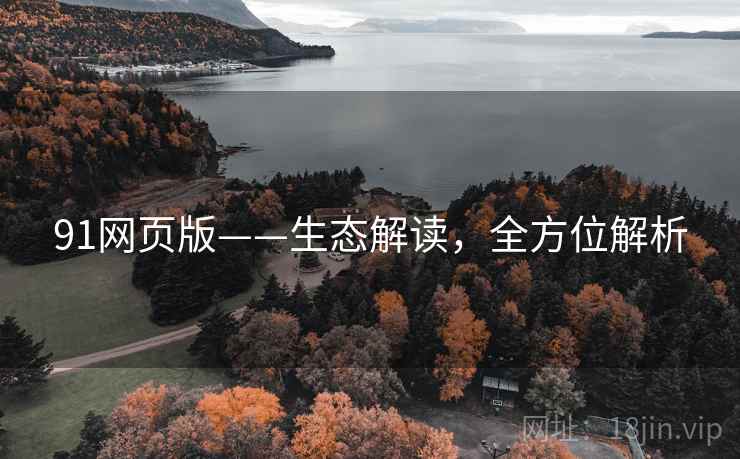 91网页版——生态解读，全方位解析