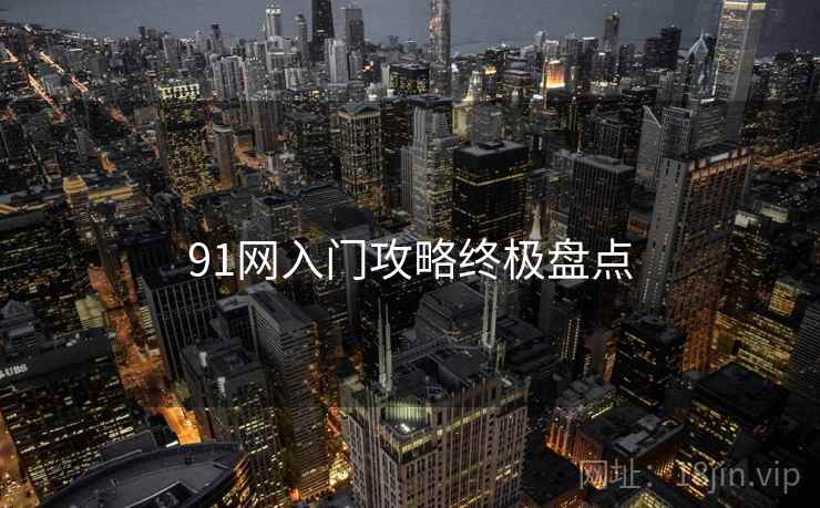 91网入门攻略终极盘点