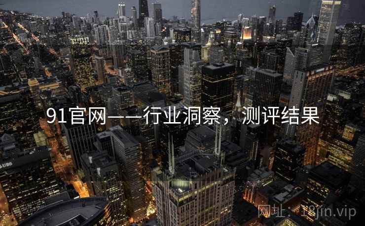 91官网——行业洞察，测评结果