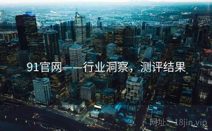 91官网——行业洞察，测评结果