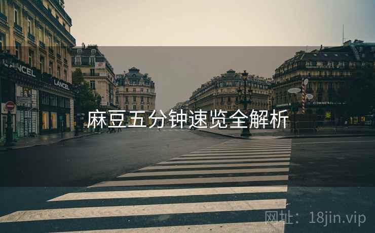 麻豆五分钟速览全解析