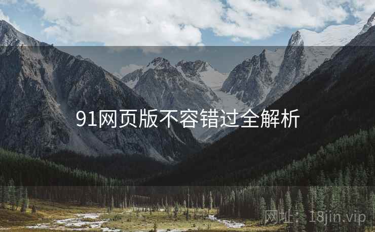 91网页版不容错过全解析