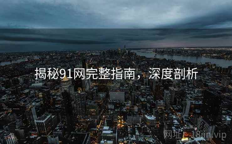 揭秘91网完整指南，深度剖析