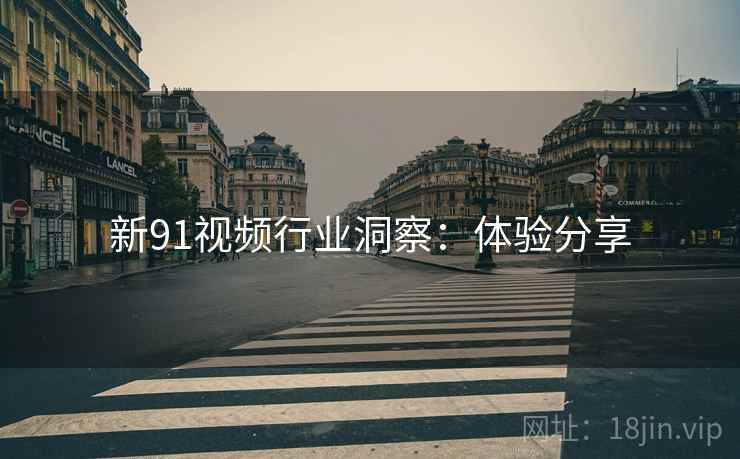 新91视频行业洞察：体验分享