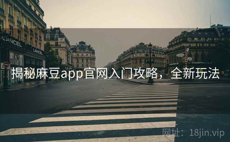 揭秘麻豆app官网入门攻略，全新玩法
