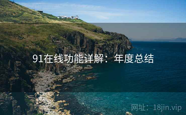 91在线功能详解：年度总结